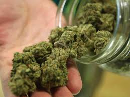 Why Canada’s Junior Mining Sector is going to pot – literally